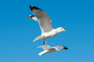 Padre Island National Seashore