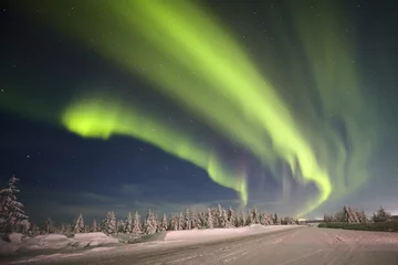 Cercles muraux Nuit Paysage de nuit d& 39 hiver avec forêt, route et aurore boréale sur la scène