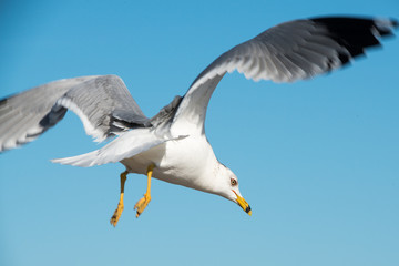 Padre Island National Seashore