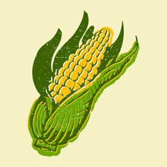 Corn vector icon