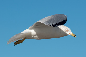 Padre Island National Seashore