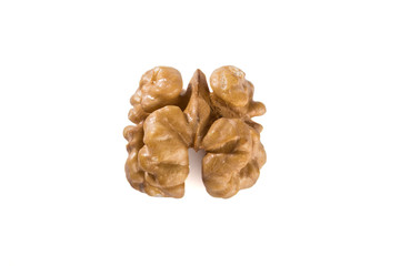 Half of walnut