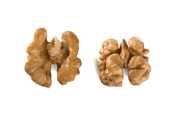 Two pieces of walnut
