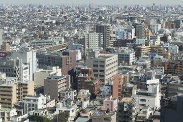 Fototapeta na wymiar 東京都市風景　俯瞰　練馬区　板橋区　住宅街　マンションと戸建てが密集