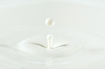 milk drop or white liquid drop