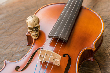 Obraz premium skull and violin on wooden background 