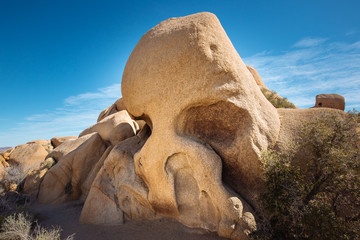 Fototapeta na wymiar Skull Rock in Joshua Tree