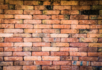 Fototapeta premium Old brick