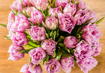 Fototapeta premium pink tulips