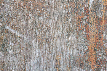 Designed grunge paper texture, background