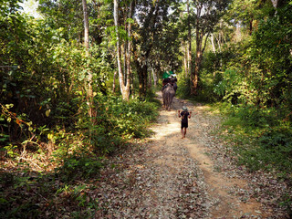riding on elephants Trekking in Thailand