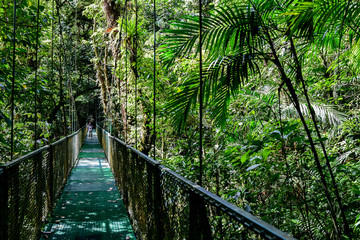 Hanging Bridges in Cloudforest - Costa Rica