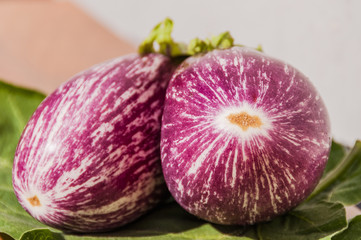 Aubergine, Gemüse, Gemüsegarten, Hobbygärtner, Stadtgarten, Herbstmarkt, Gartenarbeit, Rezepte, Schweizer Küche, Basler Rezept, Basel, Herbst, Schweiz