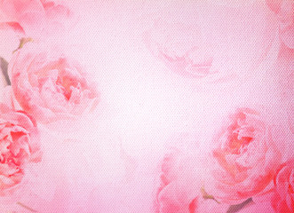 soft rose filtered on of white empty artist canvas texture 