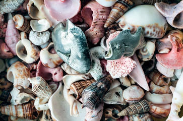 Composition of sea shells and silver jewelry fish