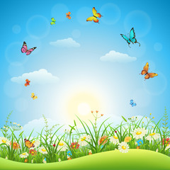 Spring or summer landscape with green grass, flowers and butterflies