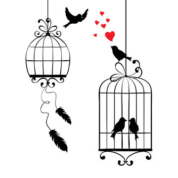 Vector illustration, print - love birds and cages