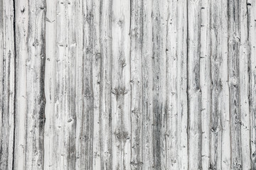 Wood pine plank white texture background