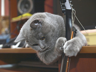 The guitar must be set up again!