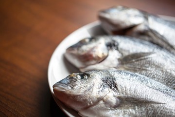Fish on wooden background