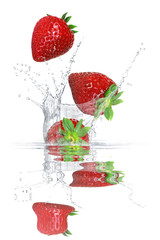 Obst 279