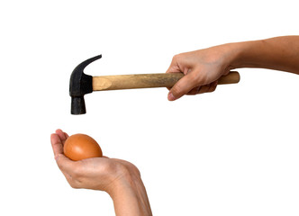 two hand hold egg with hammer