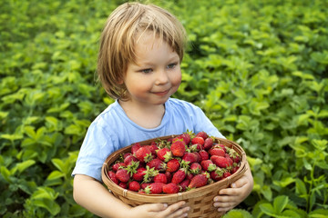 cheerful boy with basket of berries