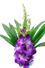 Purple orchid flower .