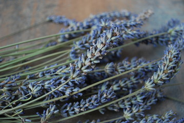 A bunch of dried lavender flowers on a wooden background.