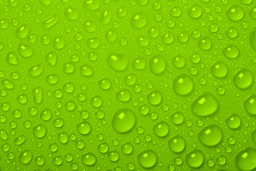 Plakat Water Drops On Green Background