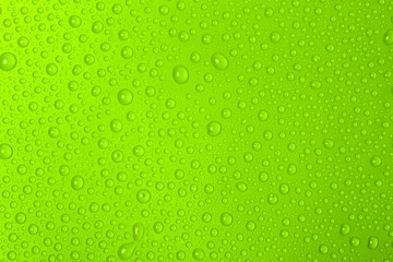 Plakat Water Drops On Green Background