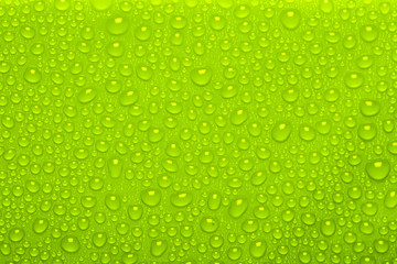 Water Drops On Green Background