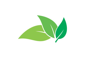 leaf icon vector logo