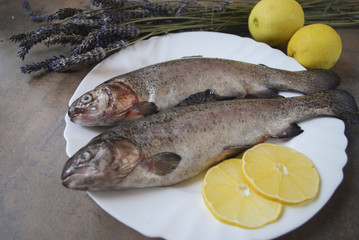 Rainbow trout with lemons on the white dish.
