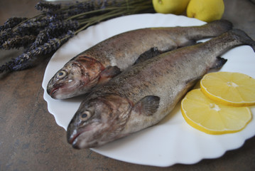 Rainbow trout with lemons on the white dish.
