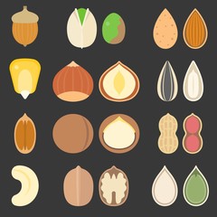 Vector nutshell and seeds icons set, flat design