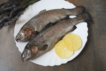 Rainbow trout with lemons on the white dish.