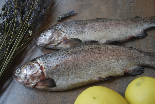 Rainbow trout with lemons on the kitchen table.