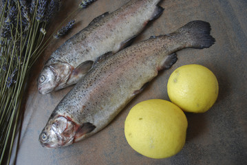Rainbow trout with lemons on the kitchen table.