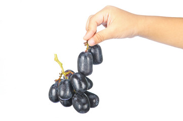Hand pick delicious and fresh black seedless grape isolated on w