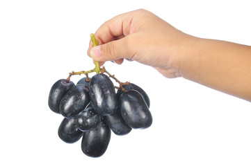 hand holding delicious and fresh black seedless grape isolated o