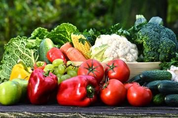Assorted raw organic vegetables in the garden