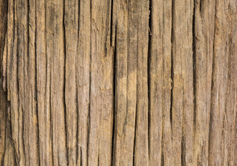 wooden surface.