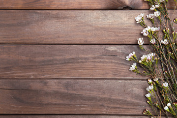 beautiful baby's breath