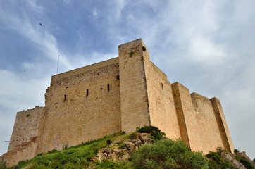 Fototapeta na wymiar Medieval fortress Miravet