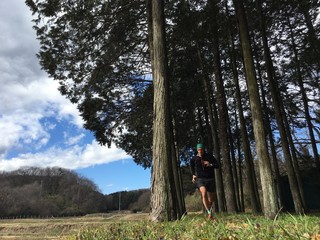 Fit runner on tree lined trail