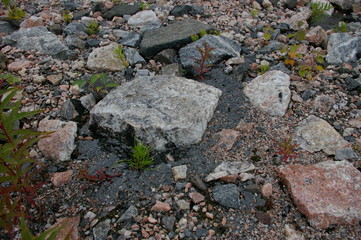 Камни и слюда на севере России