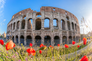 Naklejka premium Colosseum with spring flowers in Rome, Italy