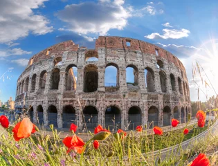 Rolgordijnen Colosseum with spring flowers in Rome, Italy © Tomas Marek