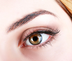 Female eye